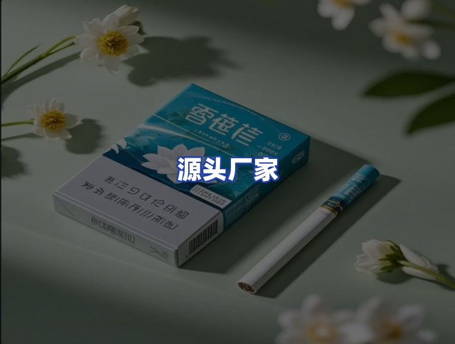 专业团队